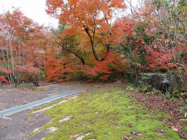 【山鹿市中】和風庭園付！敷地200坪以上